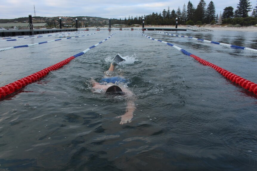 A person swims towards the camera, which is at water level. Lane ropes are on either side. Pine trees line the beach behind