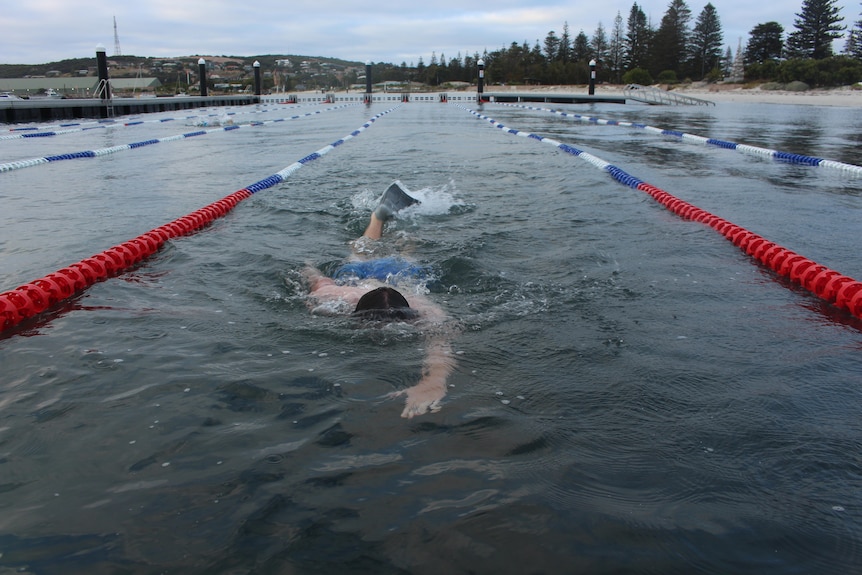 A person swims towards the camera, which is at water level. Lane ropes are on either side. Pine trees line the beach behind