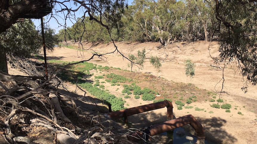 The dry Darling riverbed at Bourke in north-west New South Wales.