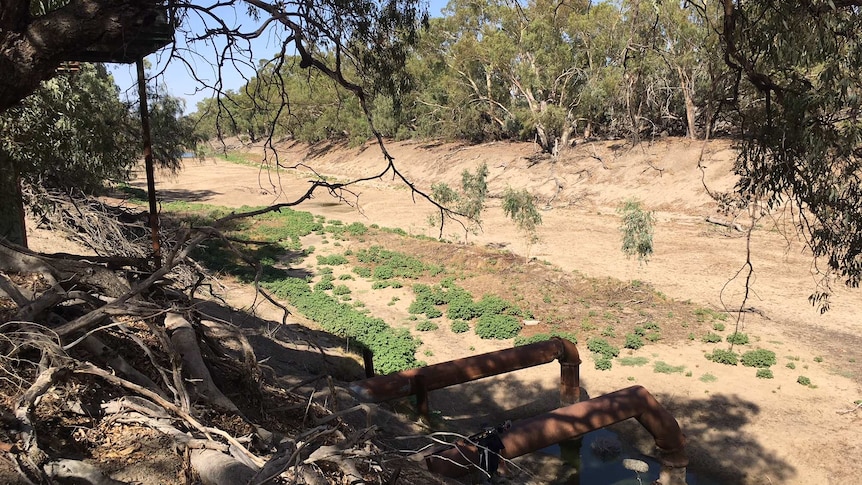 A high-up view of the dry riverbed at Bourke.