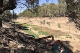 A high-up view of the dry riverbed at Bourke.
