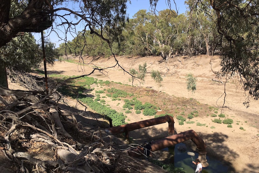 A high-up view of the dry riverbed at Bourke.