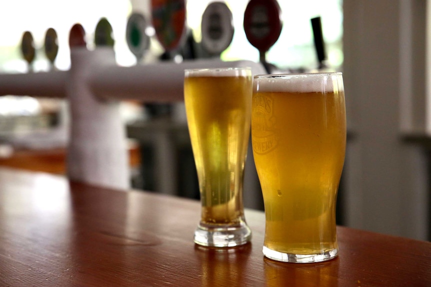 Two glasses of beer sitting on a pub counter.