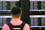 Passenger looks at Qantas flight cancellations
