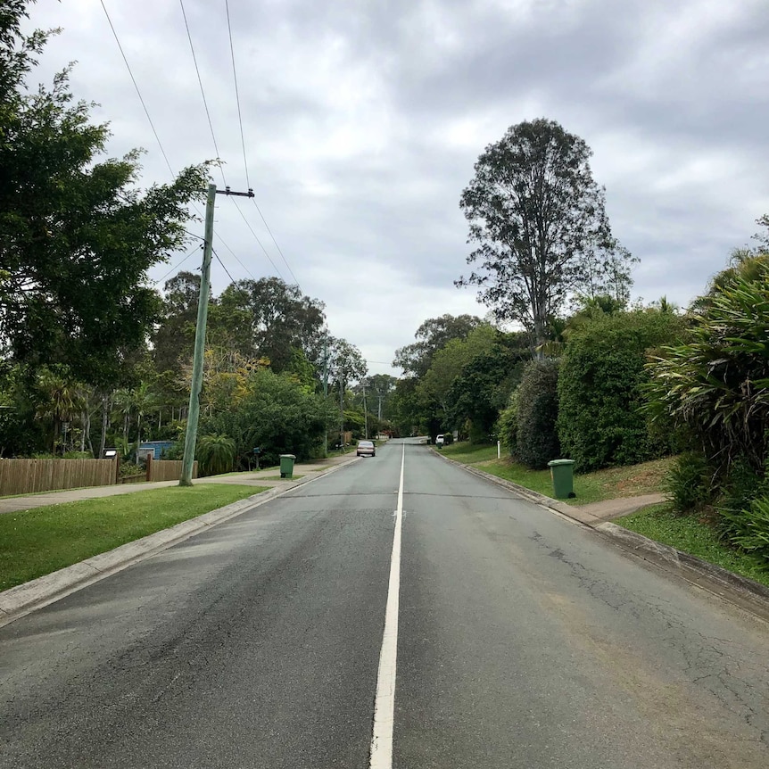 A quiet two-lane road with lots of trees and driveways to houses