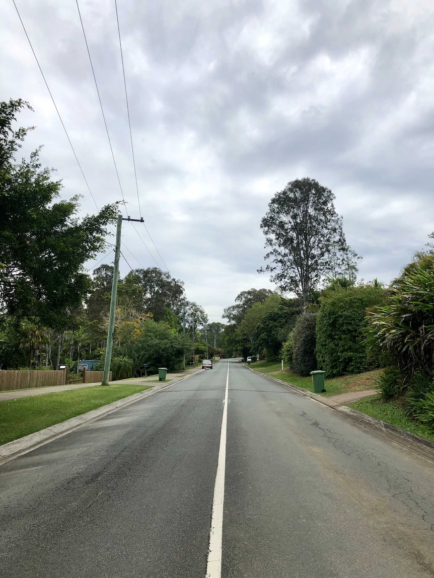 .A quiet two-lane road with lots of trees and driveways to houses.