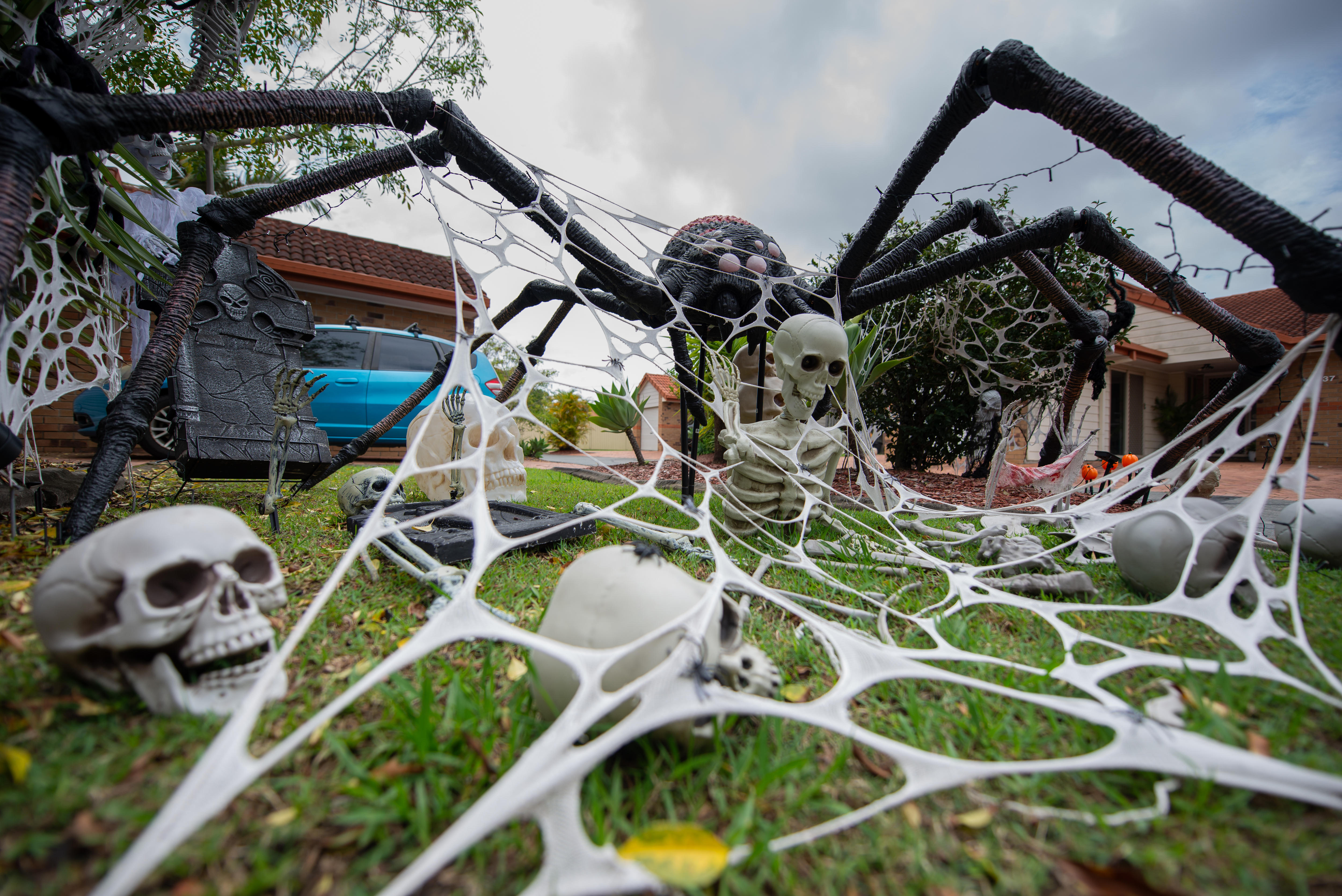 A massive plastic spider as the centre-piece of a Halloween display.