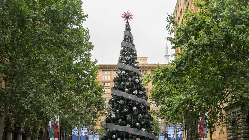 The 20-metre tall Christmas Tree in Sydney.