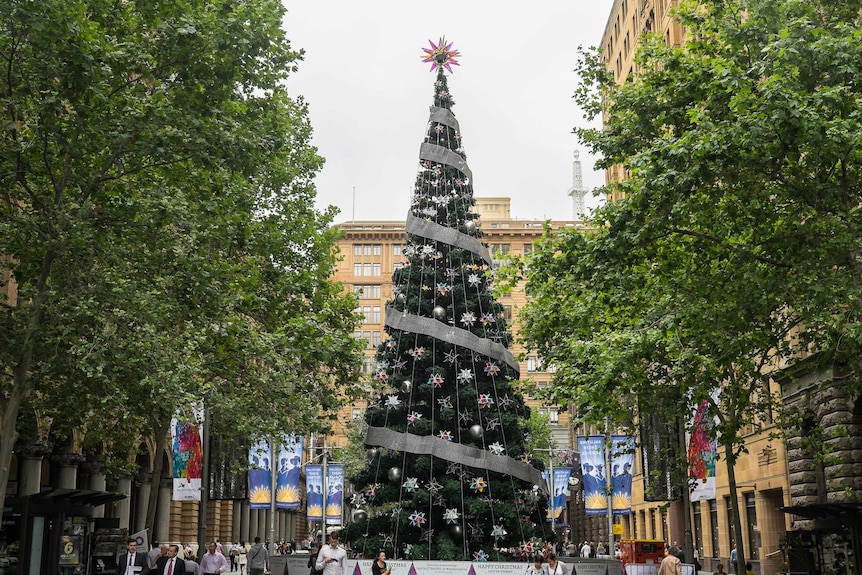 The 20 meter tall Christmas Tree in Sydney