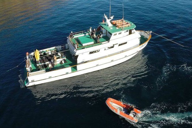 A white and green boat sailing on the water.