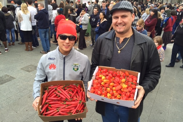 Some of the hot chillies on offer at the competition.