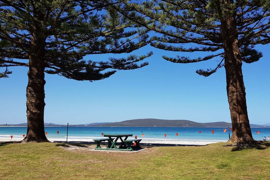 A picnic bench overlooking Middleton Beach