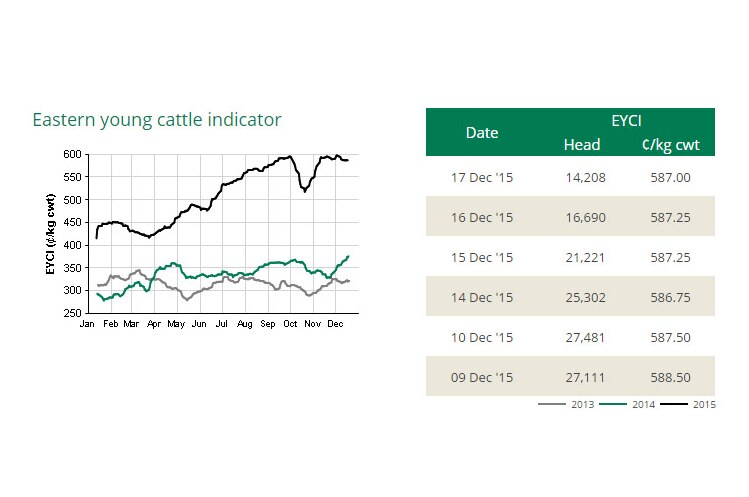 2015 Eastern Young Cattle Indicator chart.