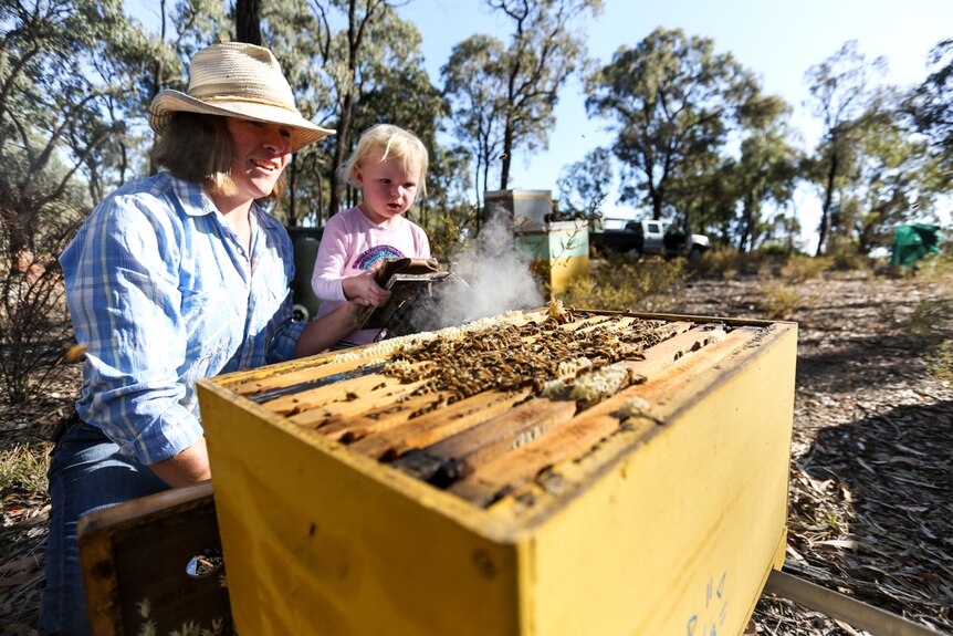A woman and her young daughter check bee hives