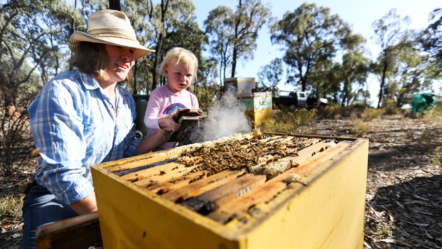 A woman and her young daughter check bee hives