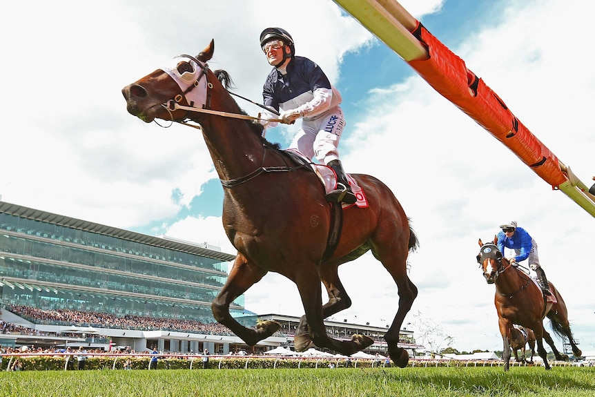 Tarzino wins the Victoria Derby