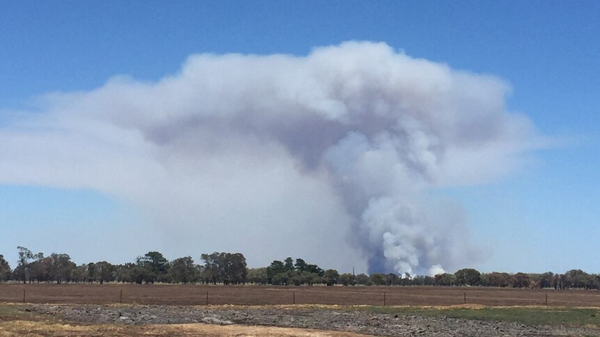 A huge cloud of white smoke rising into the blue sky from a bushfire near Harvey.