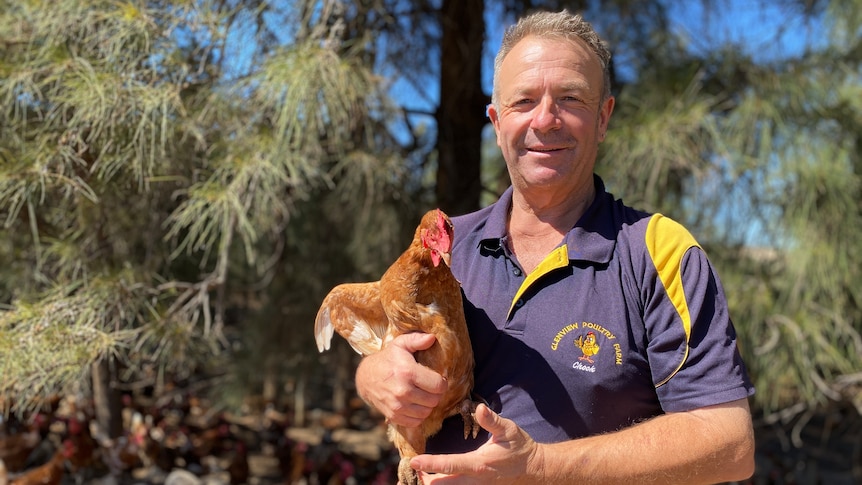 A man hold a red chicken with green trees behind him, he has short grey hair and smiles