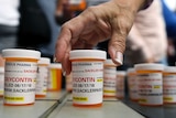 A woman reaches for a bottle of the opioid OxyContin.