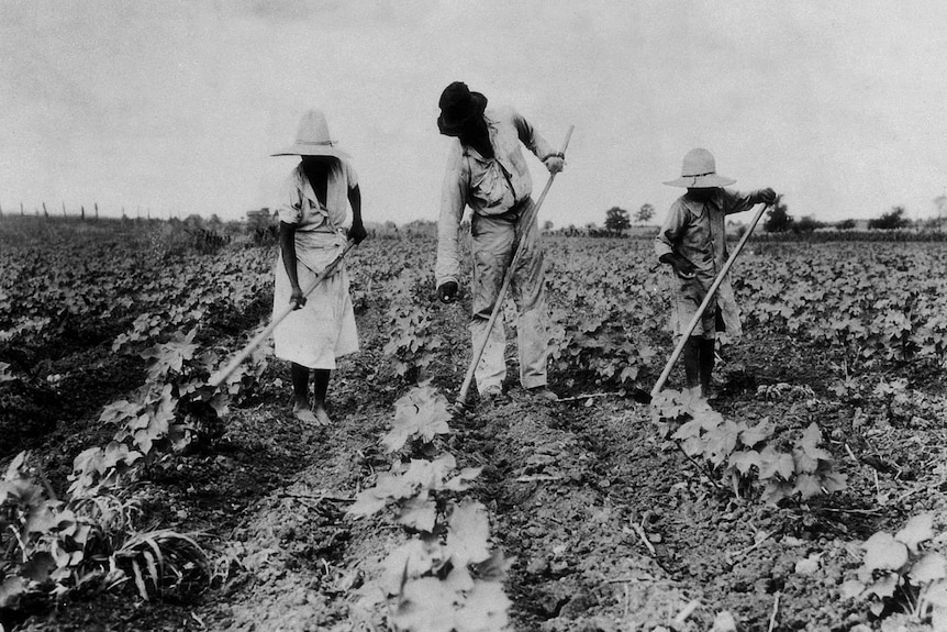 Plantation slavery