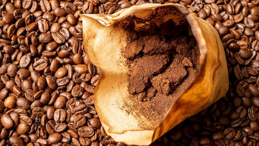 Hạt cà phê đậm đà còn lại sau khi cà phê được pha chế, đã trở thành nguồn cảm hứng thú vị cho nhiều người. Từ việc chế biến mỹ phẩm đến trồng rau thủy canh, hạt cà phê đã trở thành một sản phẩm hữu ích. Hãy xem hình ảnh và khám phá sức sáng tạo của hạt cà phê.