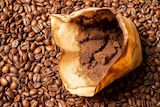 A paper bag of ground coffee sits on top of a pile of coffee beans.