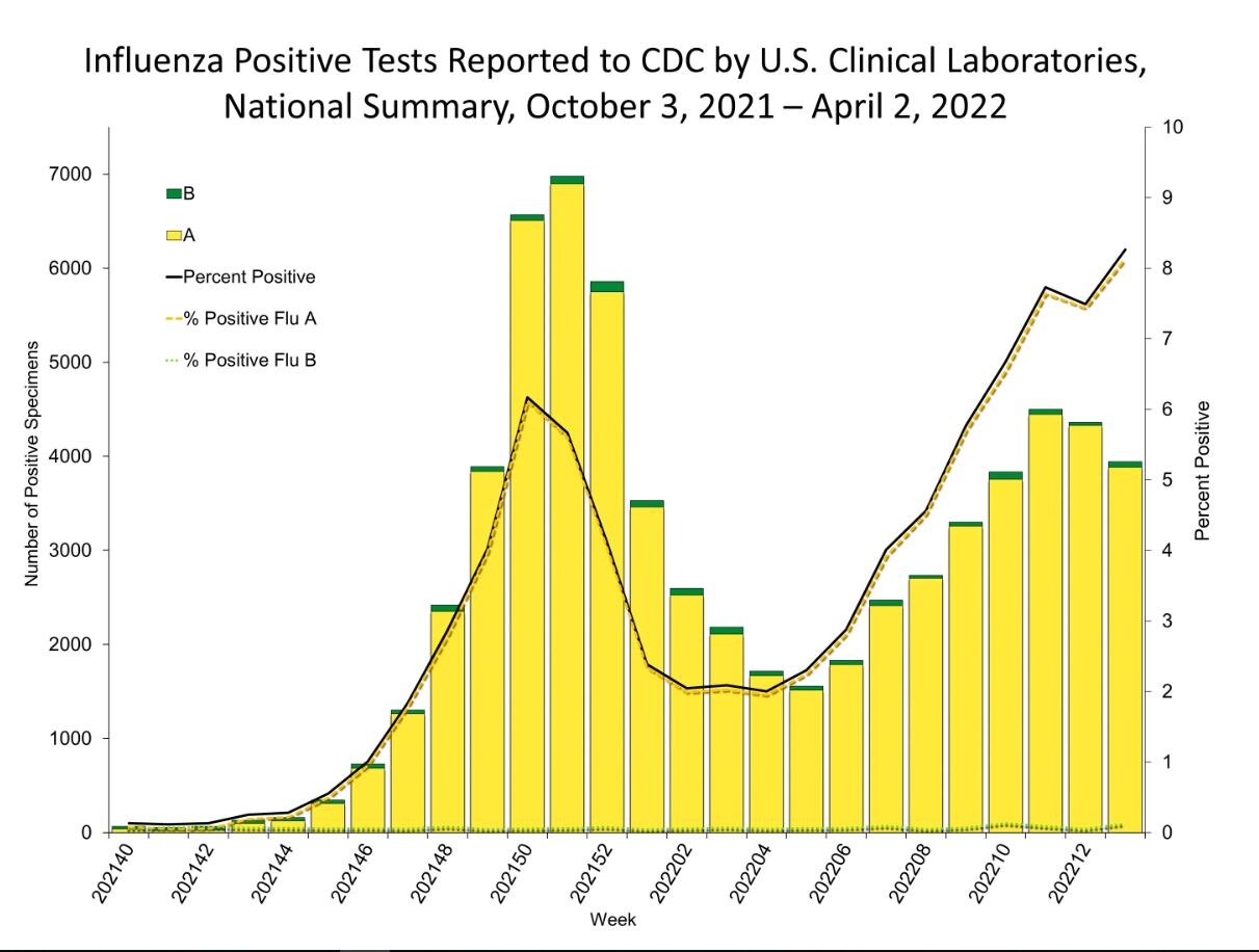 Your questions about flu season and vaccines answered as a COVID winter