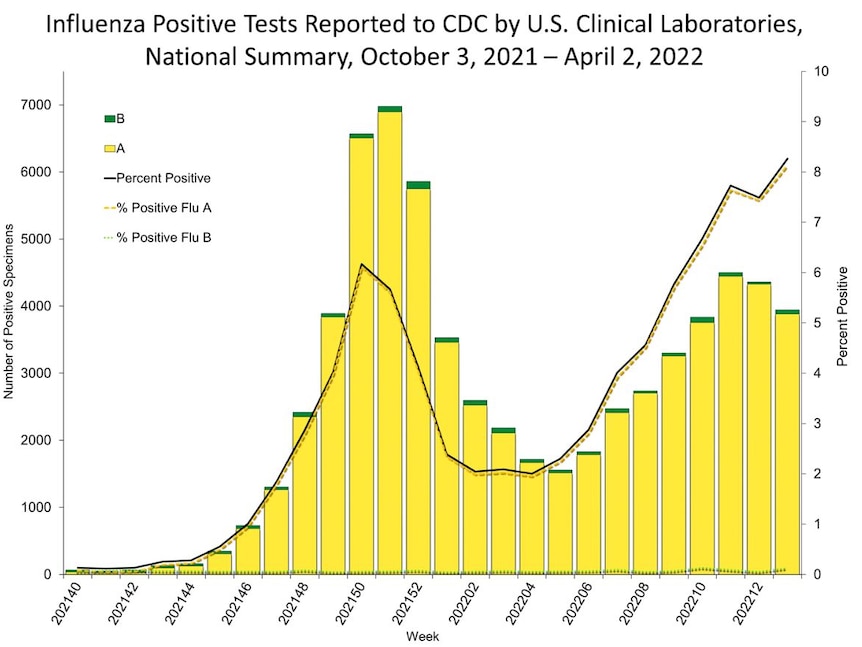A graph showing a peak in flu cases in December 2021 and another peak in March 2022.