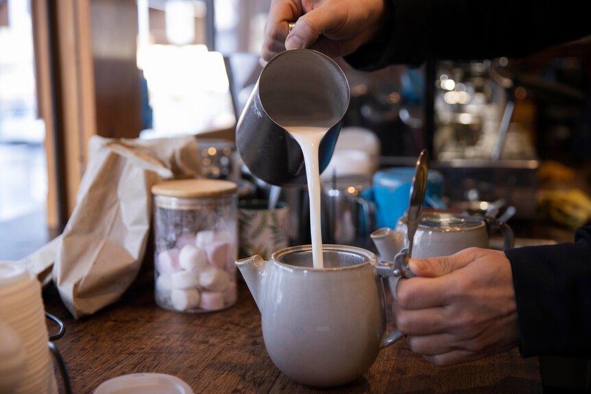 A barista pours milk into a teapot at a Hobart cafe.