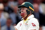 Marnus Labuschagne rocks back as a cricket ball collides into his helmet's grill