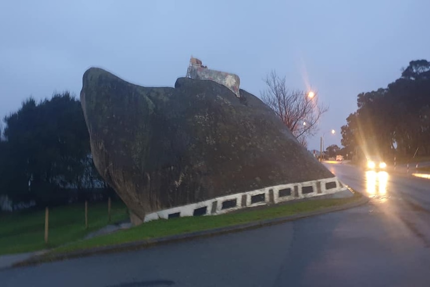 a bed on top of dog rock