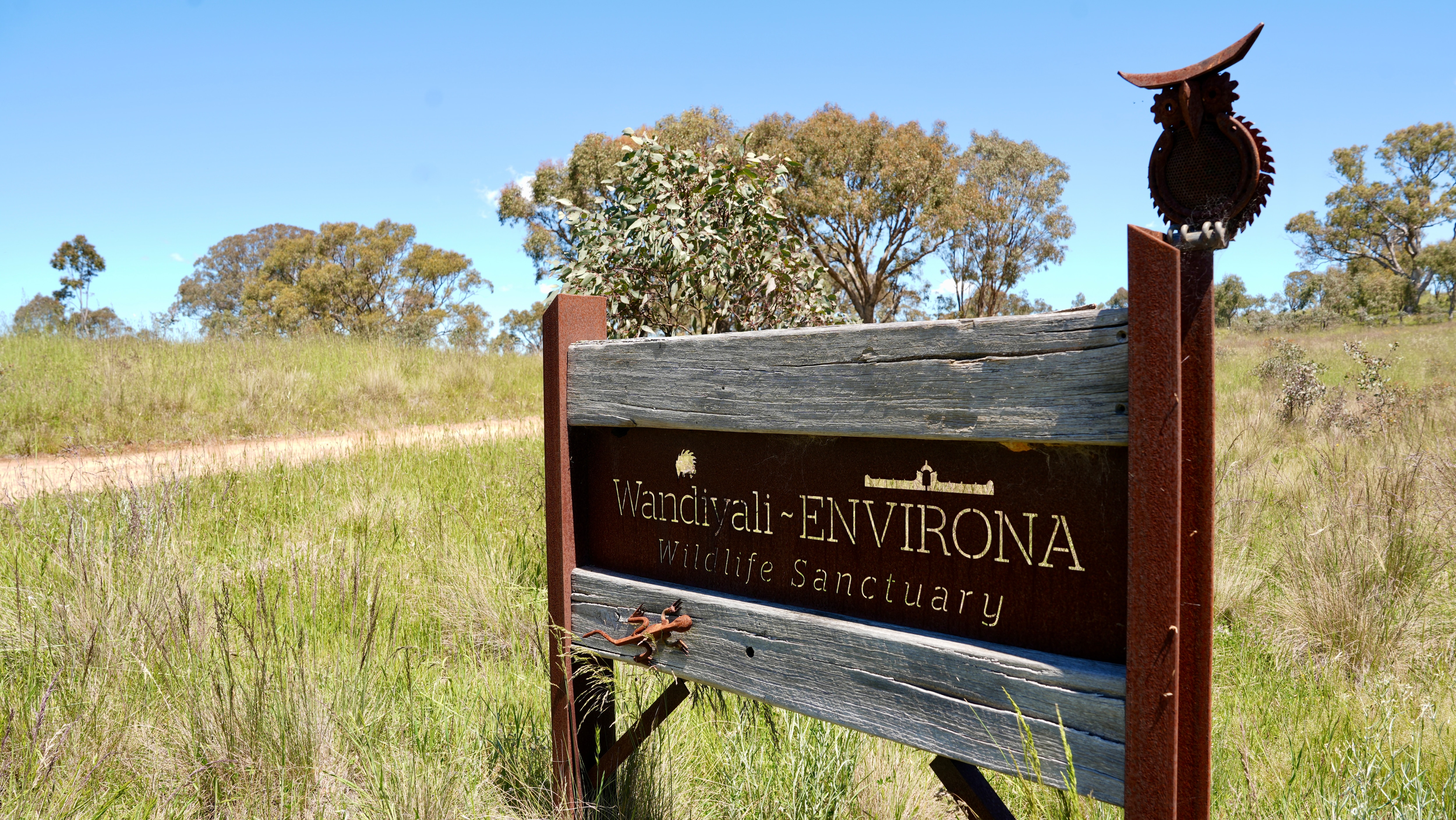 An intentionally rusted metal sign on bush property that reads "Wandiyali-Environa Wildlife Sanctuary".
