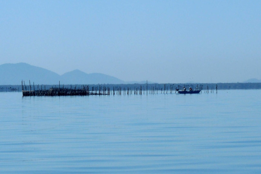 Fishermen who live around Rio’s Guanabara Bay use rustic traps made of bamboo for their daily catch.