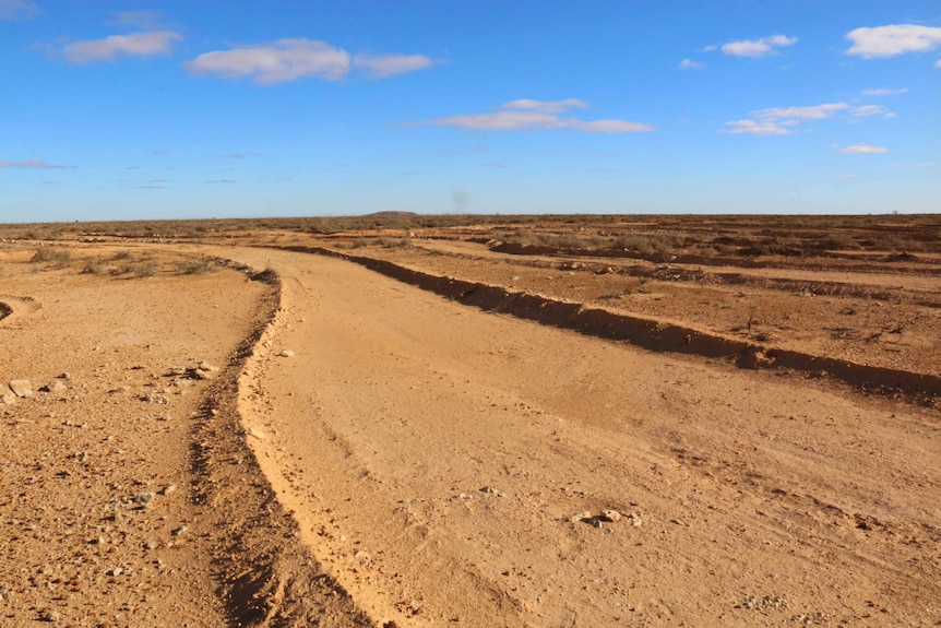 Landscape shot of a long, shallow, wide channel carved through dirt in the South Australian outback.