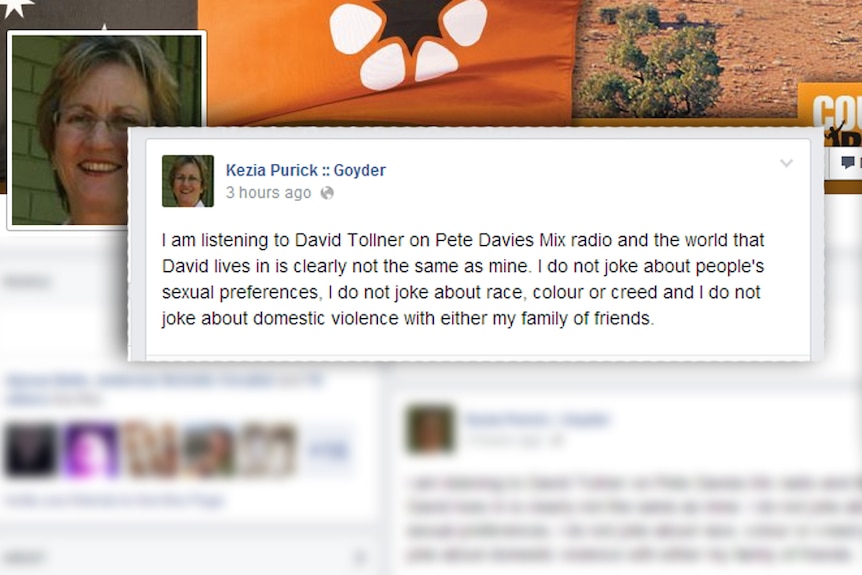 Speaker of the NT Parliament Kezia Purick's Facebook post after Dave Tollner's radio interview
