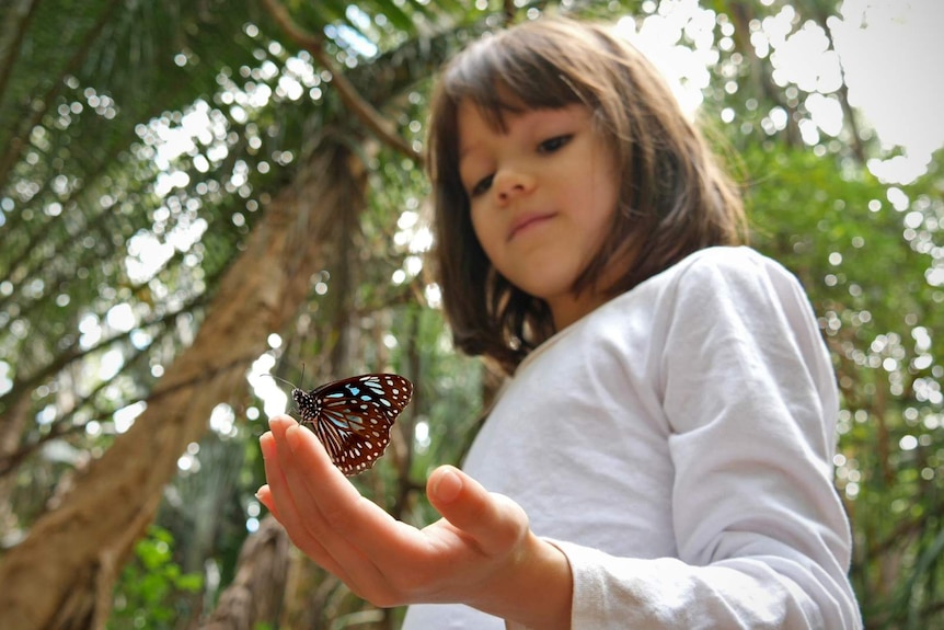 A blue tiger butterfly sits on the hand of a child who is standing in a bush area.