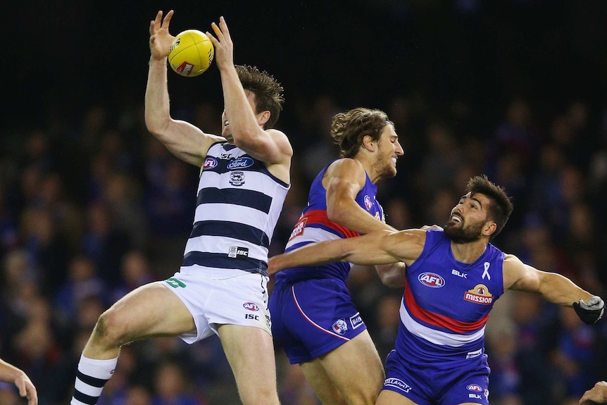 Geelong's Patrick Dangerfield marks against a pack of Western Bulldogs players at Docklands.