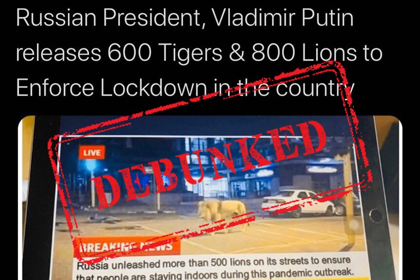 A meme suggesting Russia released 500 lions onto the street with the word "debunked" overlayed
