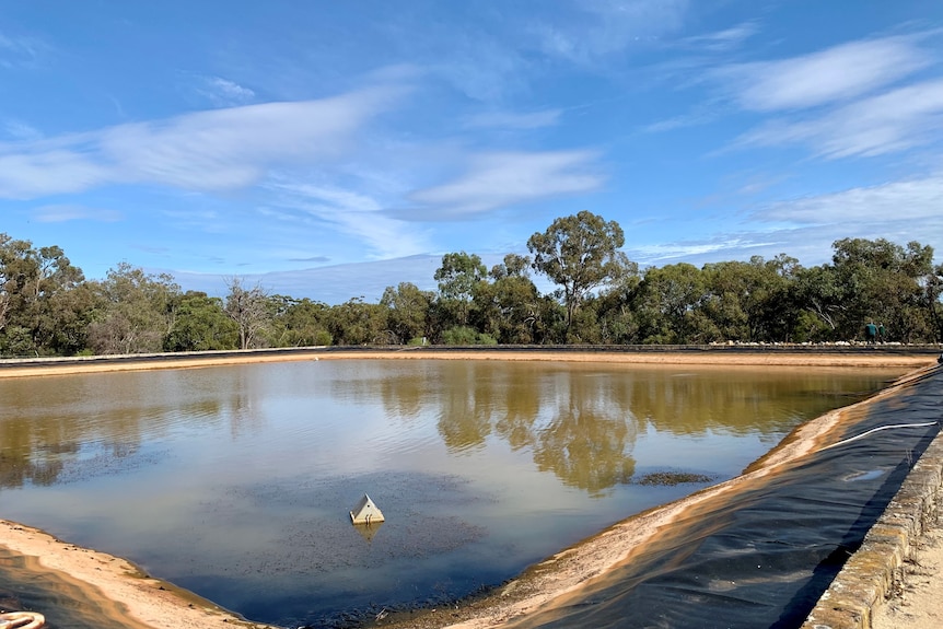A large body of water at Kings Park.