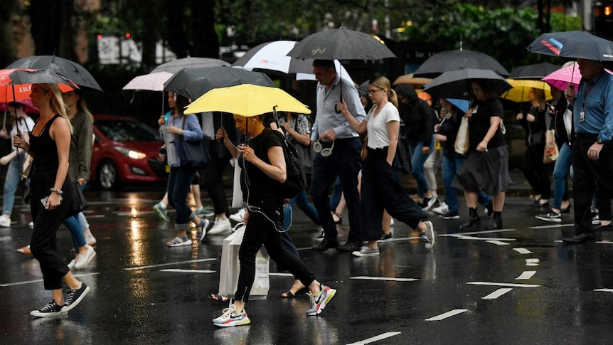 Several people cross a road, holding umbrellas