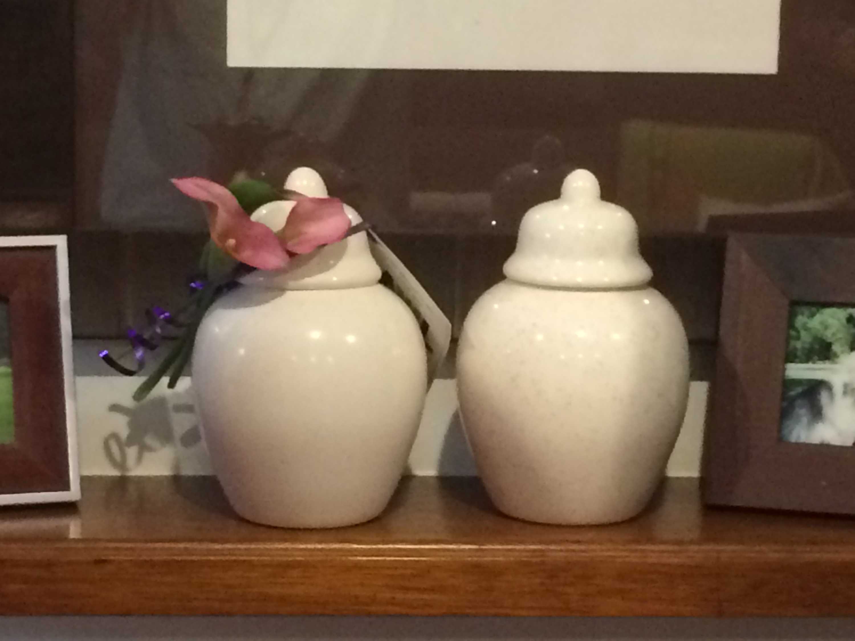 Adelaide vet specialises in home euthanasia for muchloved pets ABC News