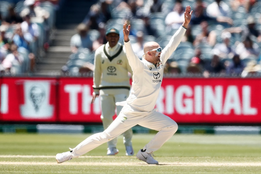 Australia bowler Nathan Lyon goes down on one knee and throws his hands up to appeal for a wicket in a Test against Pakistan.