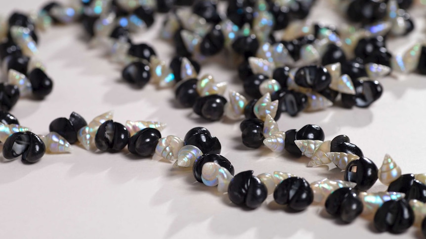 A close up of a necklace made of small jet black and white iridescent shells