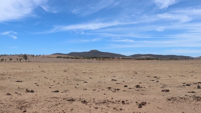 A dry paddock with hills in the distance, under a blue sky with wispy white clouds.