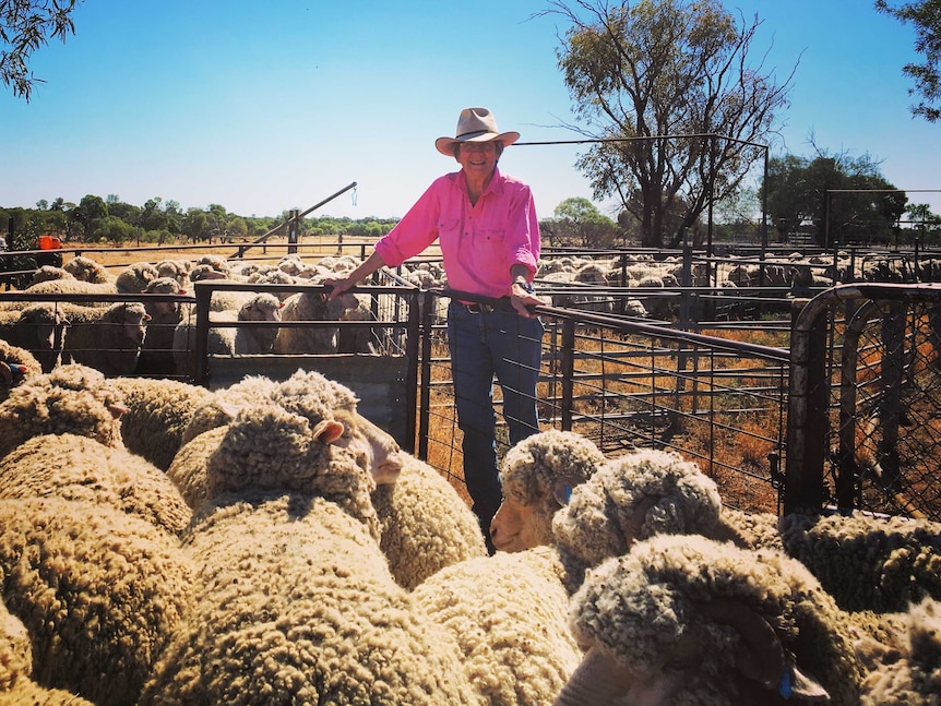 A women standing in a sheep pen surrounded by dozen's of sheep at her property in western queensland.