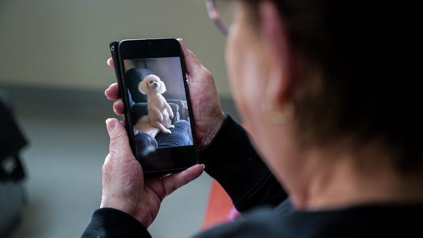 A woman looks at a photo of a dog on her phone.
