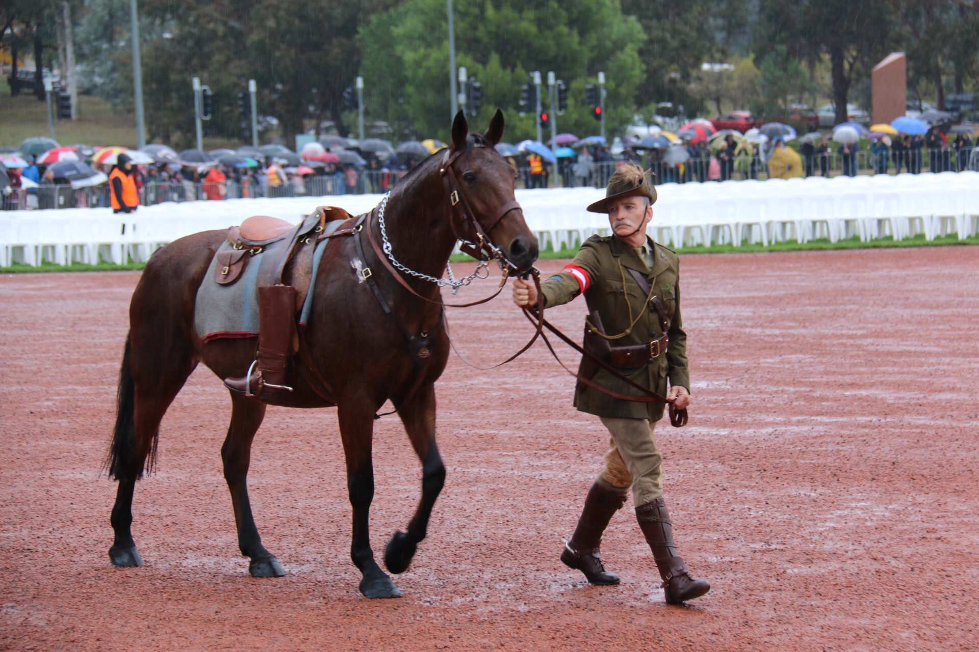 Anzac Day national service in Canberra draws thousands despite wet