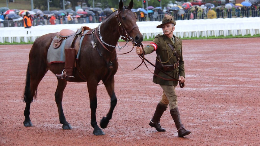 A horse with no rider is paraded in front of the war memorial.