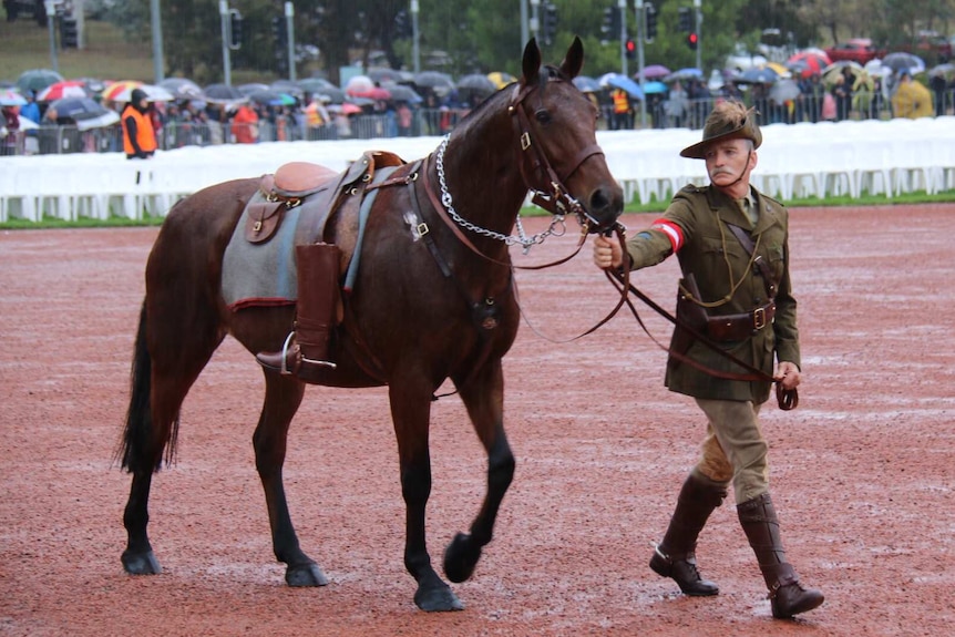 A horse with no rider is paraded in front of the war memorial.