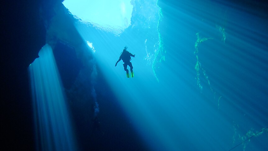 A scuba diver floats in crystal clear water under a large light beam from above.